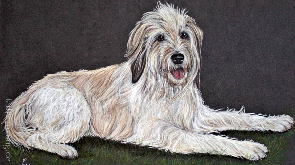 Pastellzeichnung 50 x 70 cm, Portrait eines Hundes