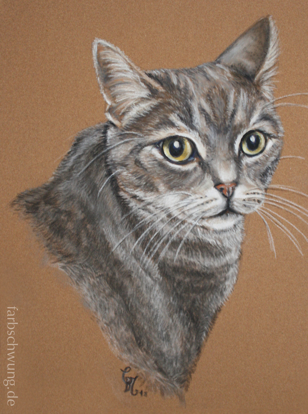 Pastellbild DIN A4, Zeichnung von einer grauen Katze