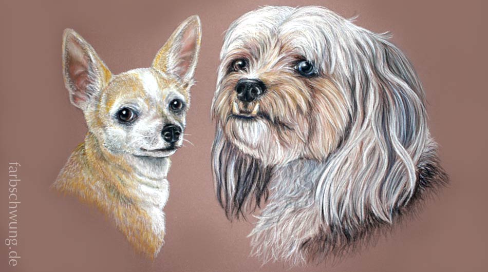 Pastellzeichnung 30 x 40 cm, Portrait von einem Chihuahua und Mischlingshund